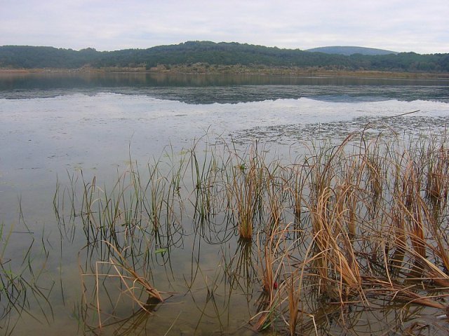 Laghi .....della SARDEGNA